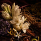 The AfterBlooms Discovery Kit