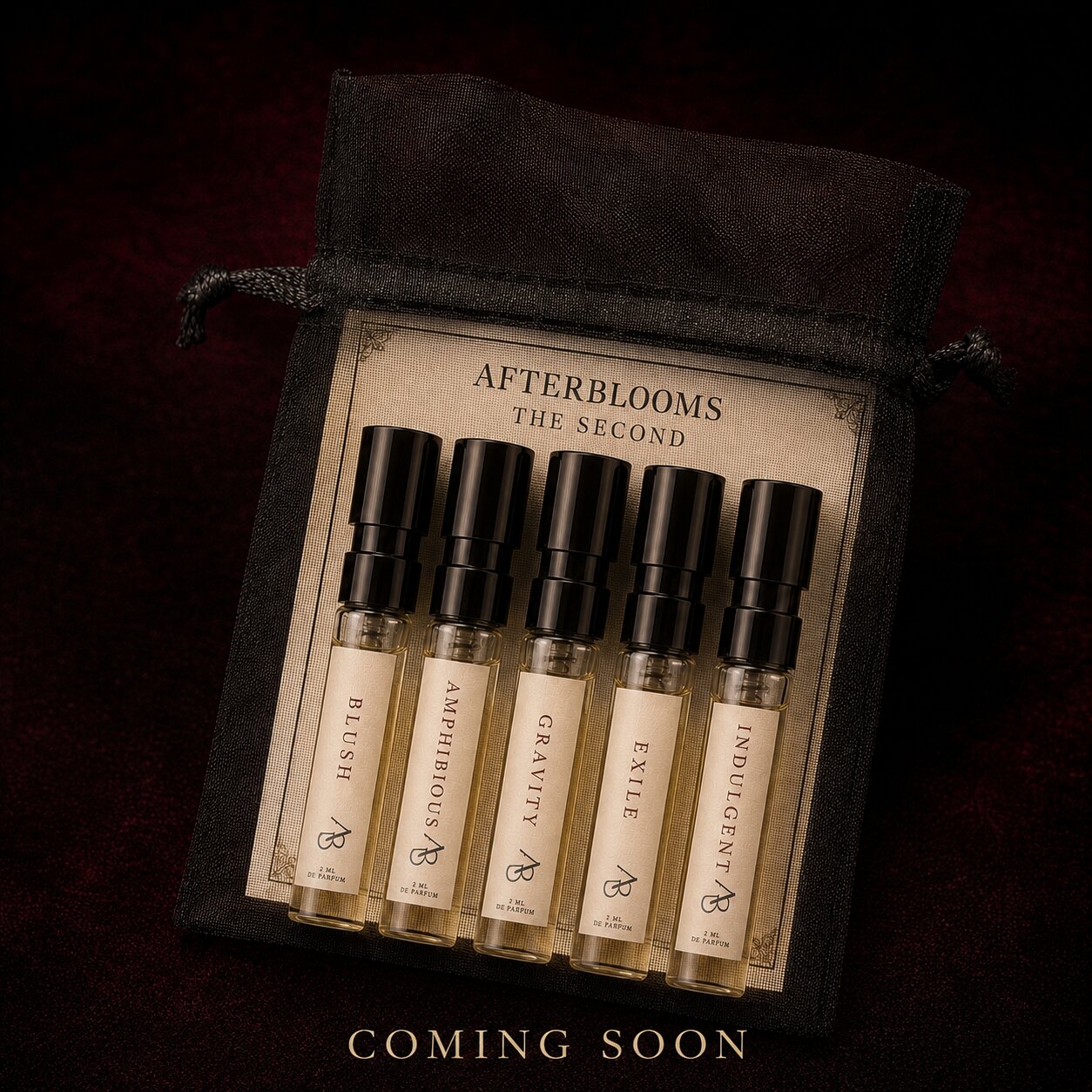 The Second | AfterBlooms Discovery Kit